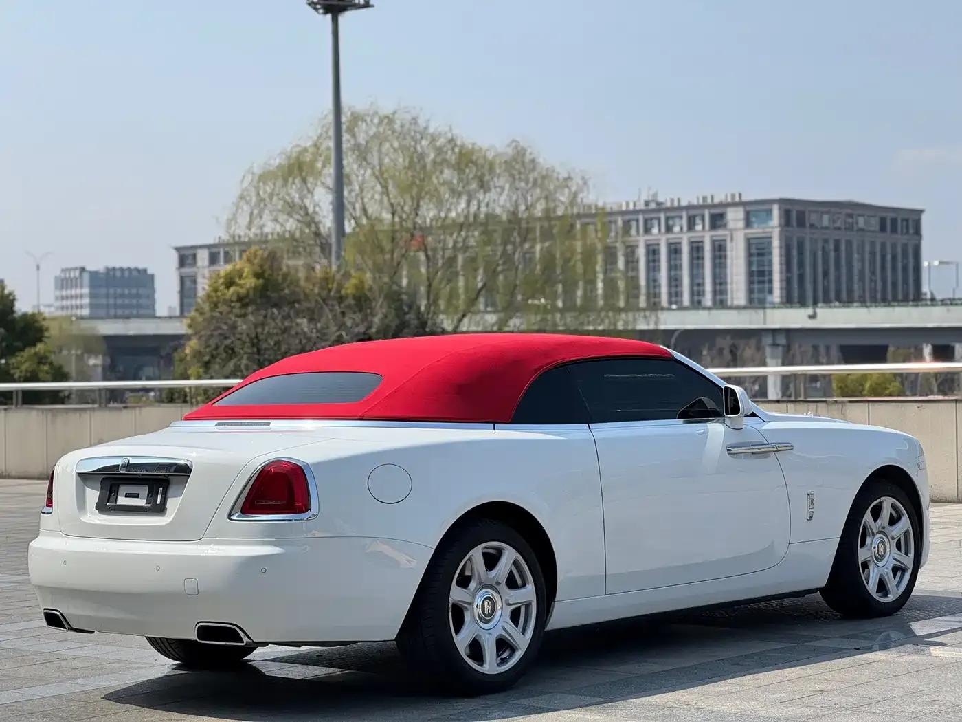 2015 Dawn 6.6T Standard Edition — миниатюра 6