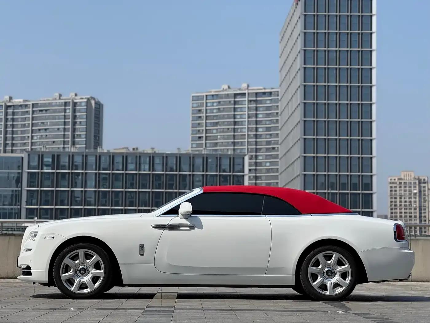 2015 Dawn 6.6T Standard Edition — миниатюра 7