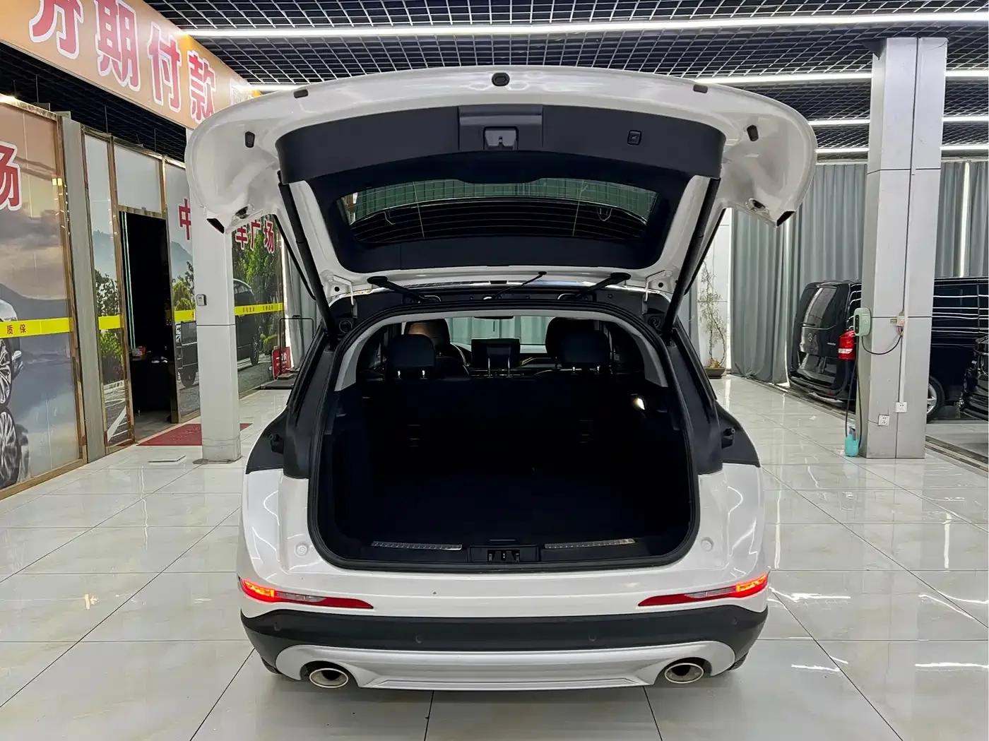 Adventurer 2022 2.0T 2WD Premium Edition — миниатюра 8