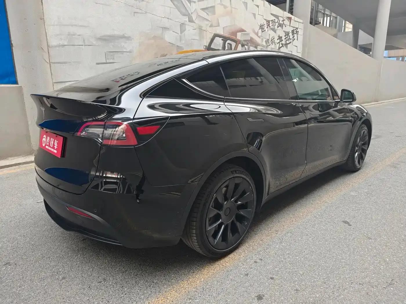 Model Y 2021 Standard Range Rear-Wheel Drive — миниатюра 3