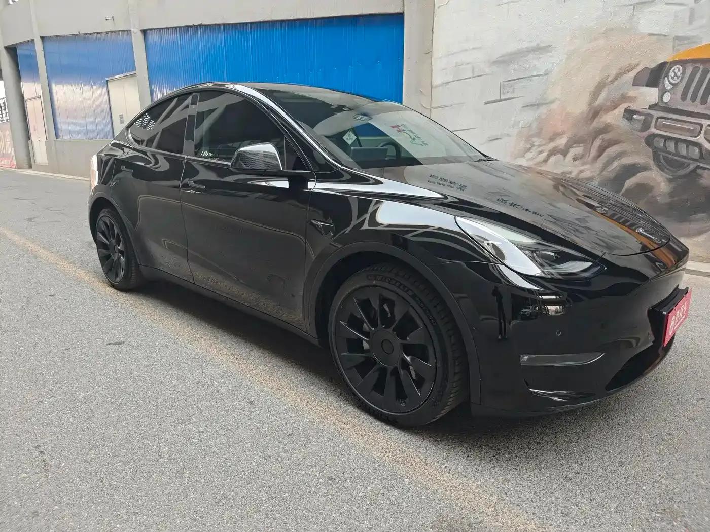 Model Y 2021 Standard Range Rear-Wheel Drive — миниатюра 4