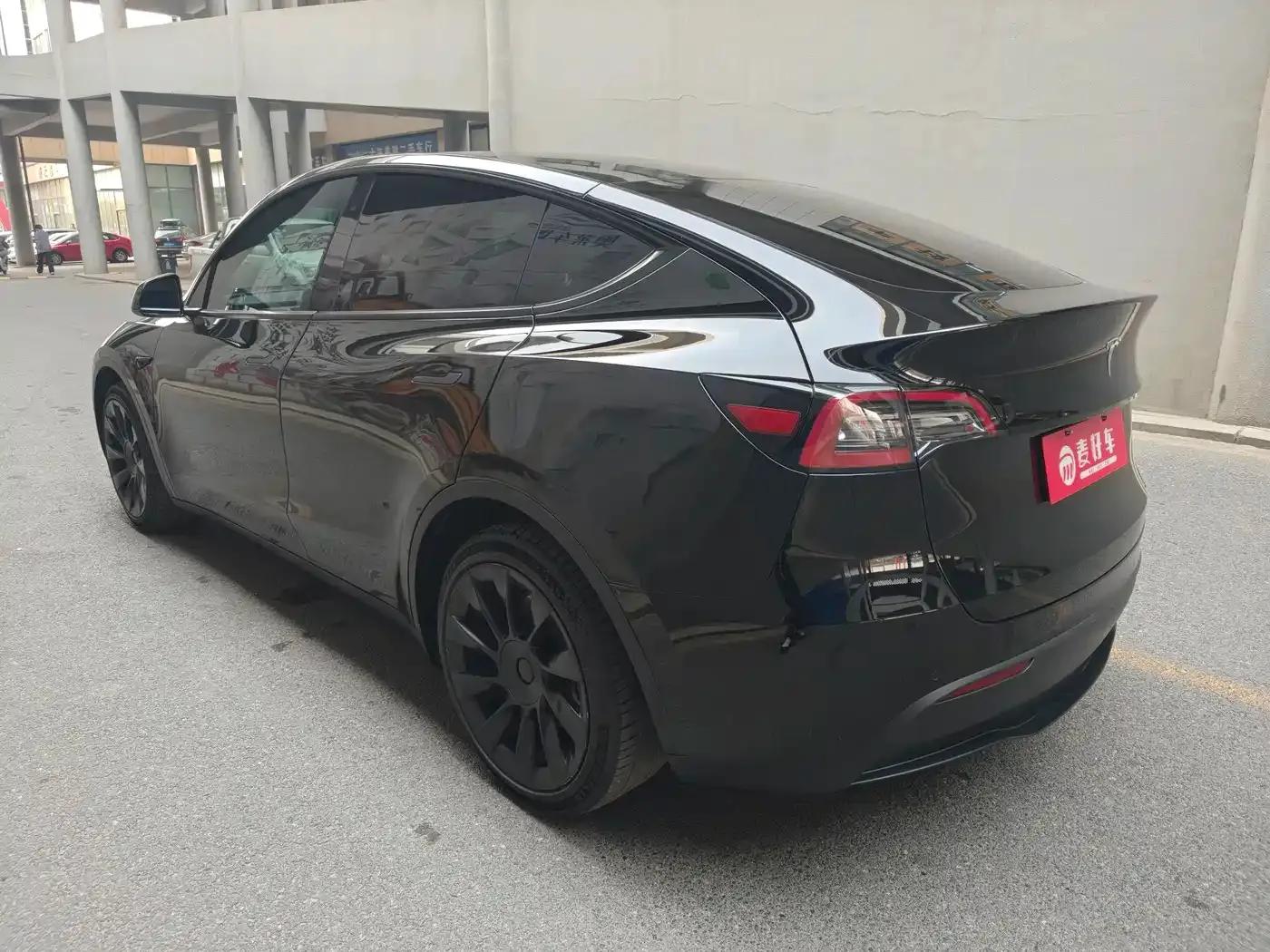 Model Y 2021 Standard Range Rear-Wheel Drive — миниатюра 6
