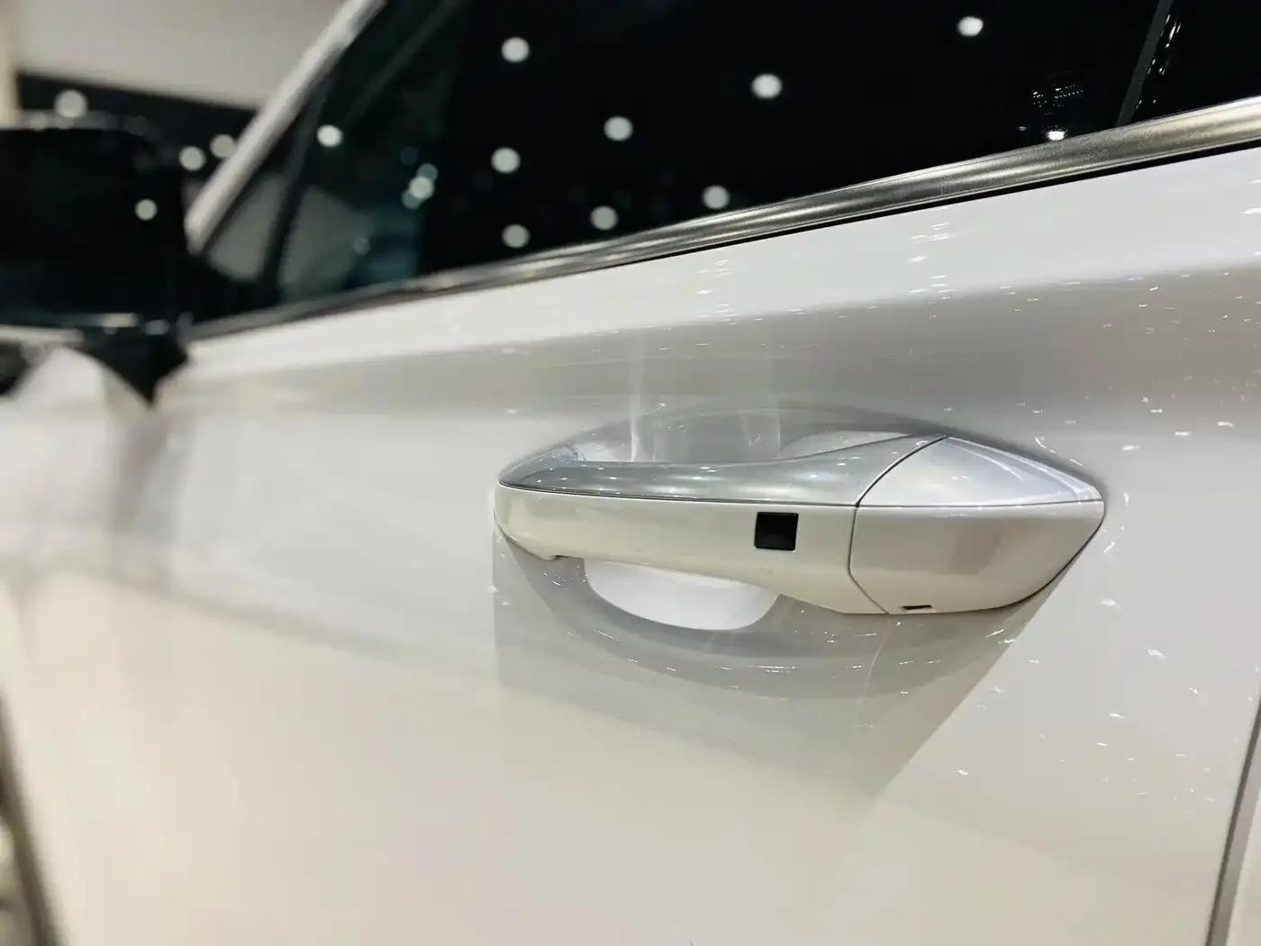 Santa Fe 2020 380 TGDi Automatic 2WD GLS Luxury Edition — миниатюра 14