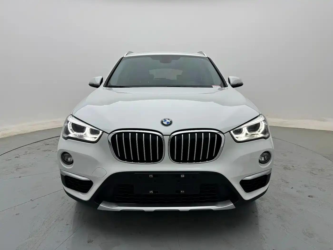 BMW X1 2019 xDrive20Li Premium — миниатюра 2