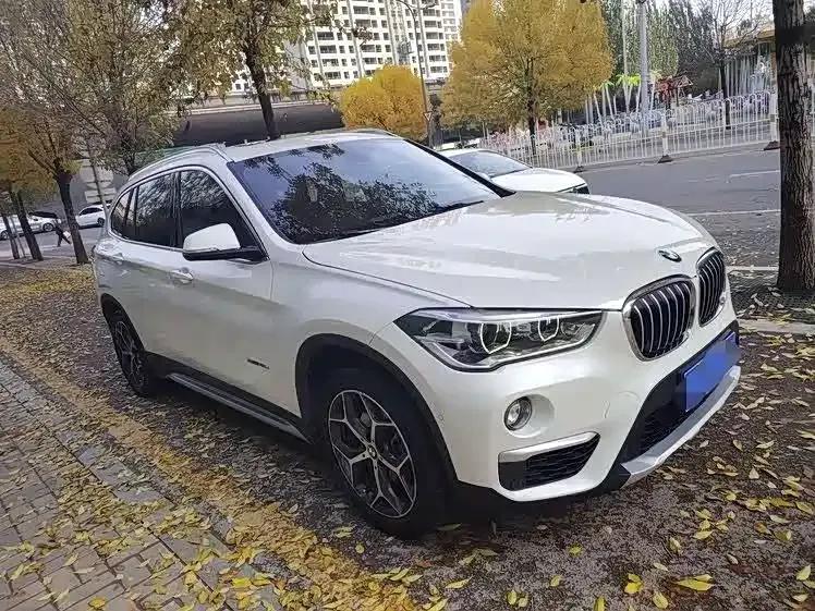 BMW X1 2018 xDrive20Li Premium — миниатюра 3