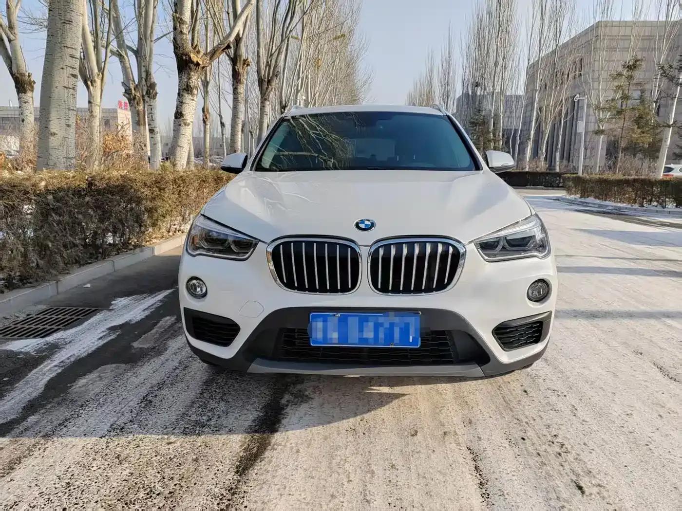 BMW X1 2019 sDrive20Li Leading Edition — миниатюра 2