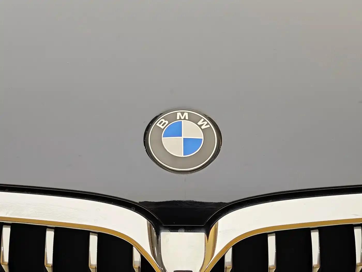 BMW 5 Series 2021 Facelift 530Li Leading Luxury Package — миниатюра 3