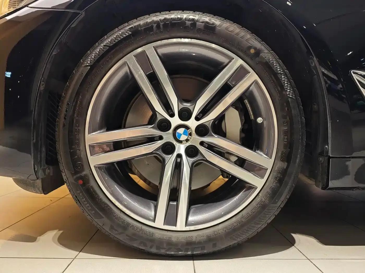 BMW 5 Series 2021 Facelift 530Li Leading Luxury Package — миниатюра 6