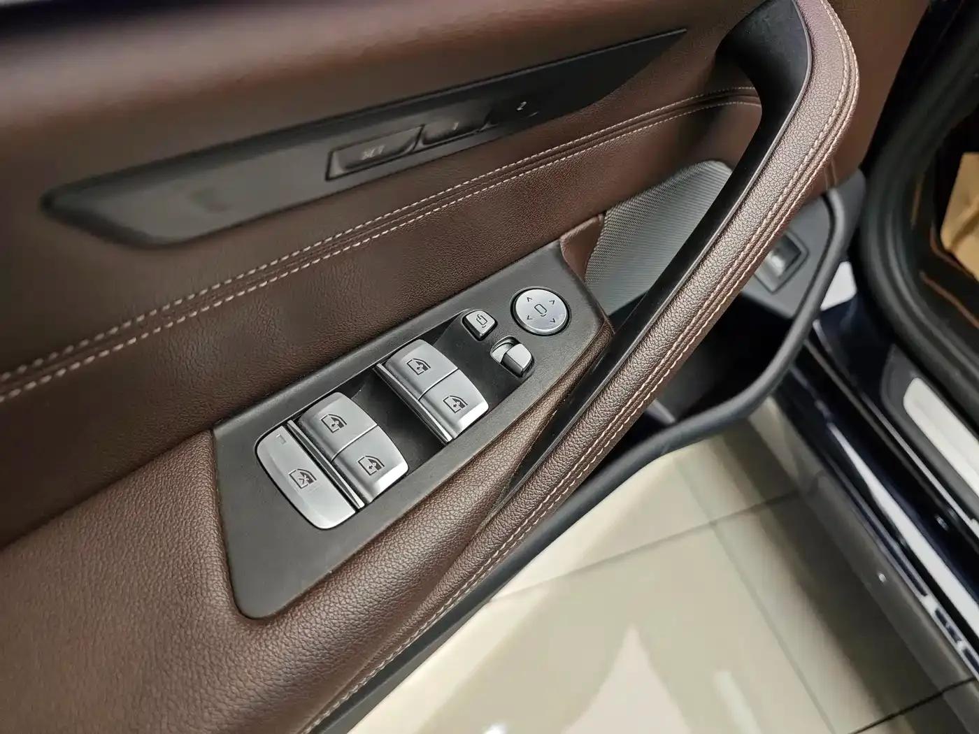 BMW 5 Series 2021 Facelift 530Li Leading Luxury Package — миниатюра 10