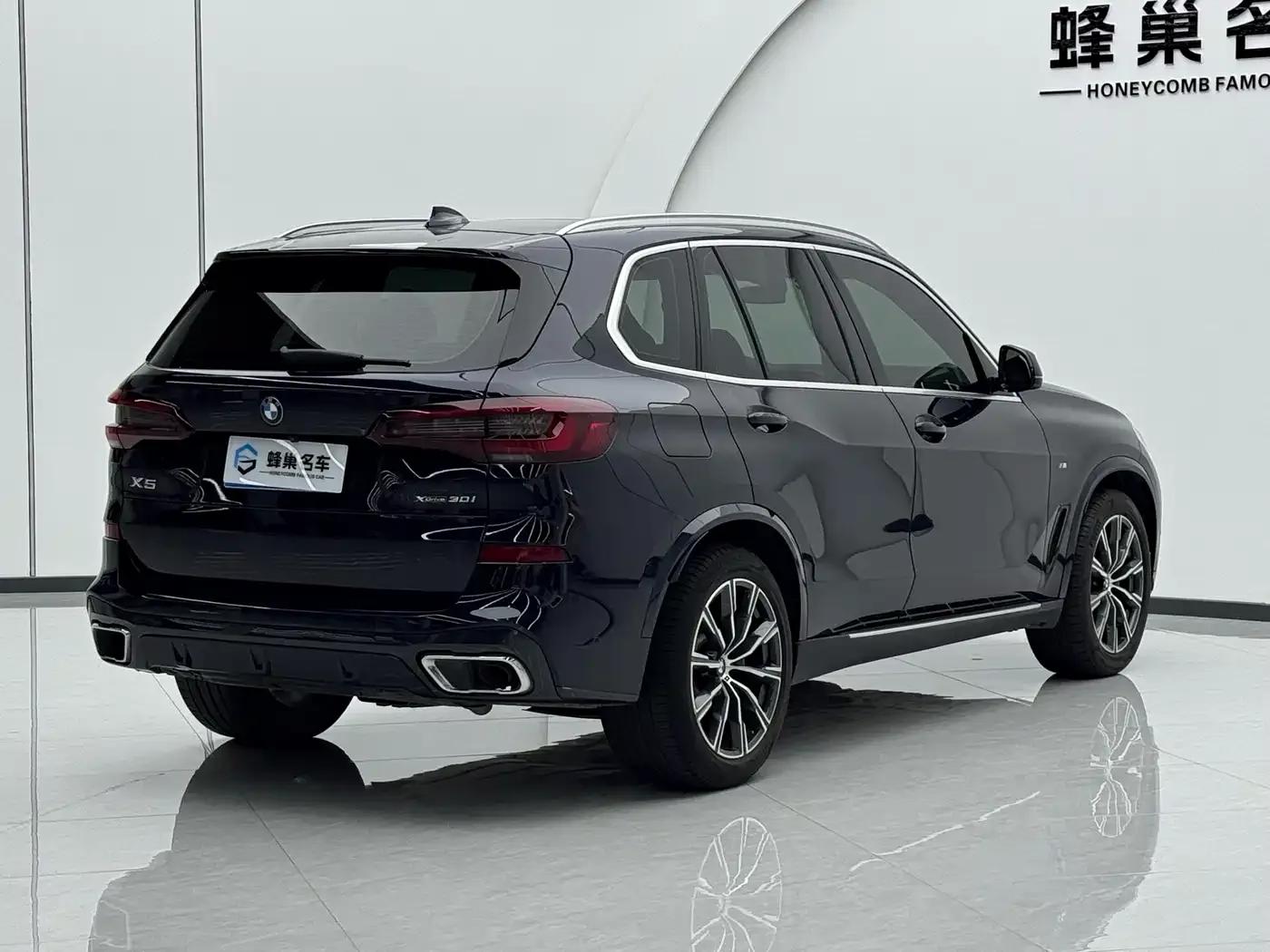 2020 BMW X5 xDrive30i M Sport Package (Imported) — миниатюра 4