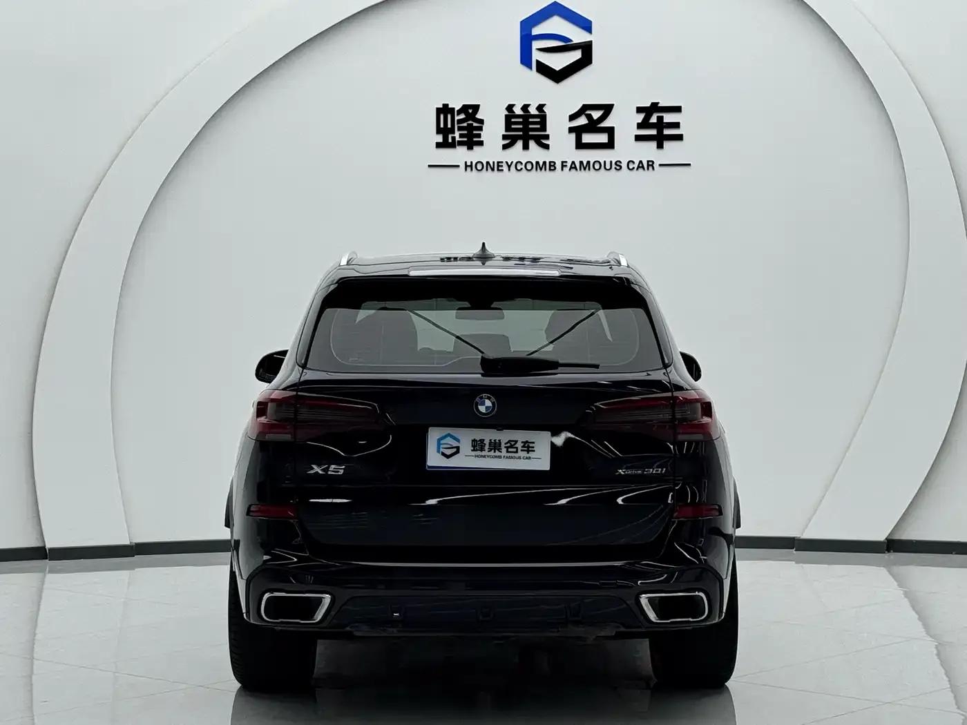 2020 BMW X5 xDrive30i M Sport Package (Imported) — миниатюра 5