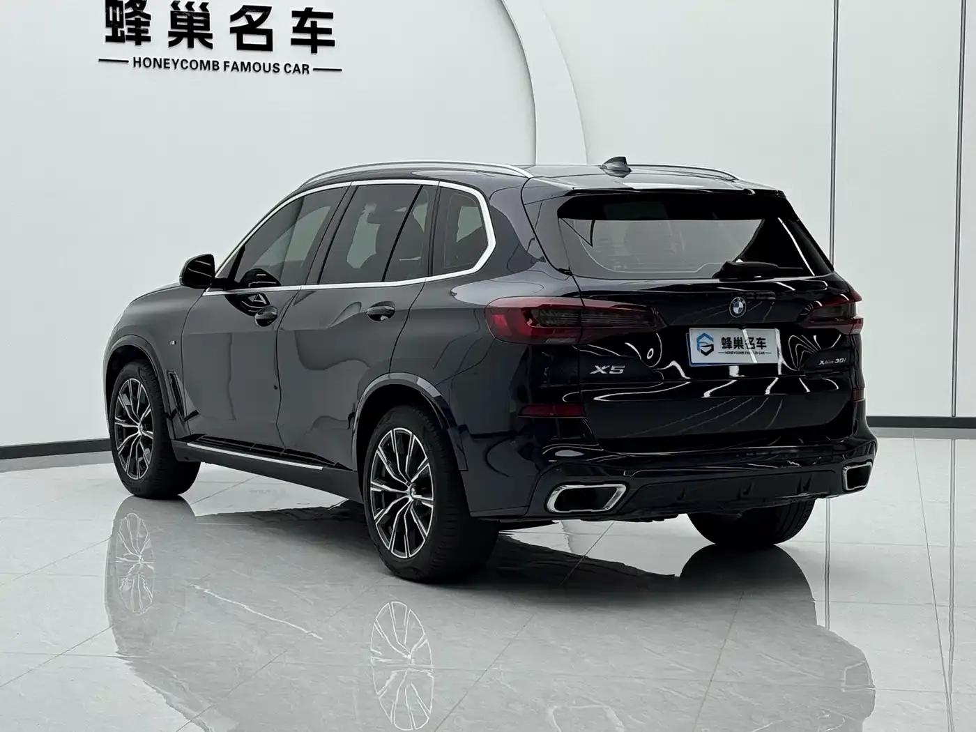2020 BMW X5 xDrive30i M Sport Package (Imported) — миниатюра 6