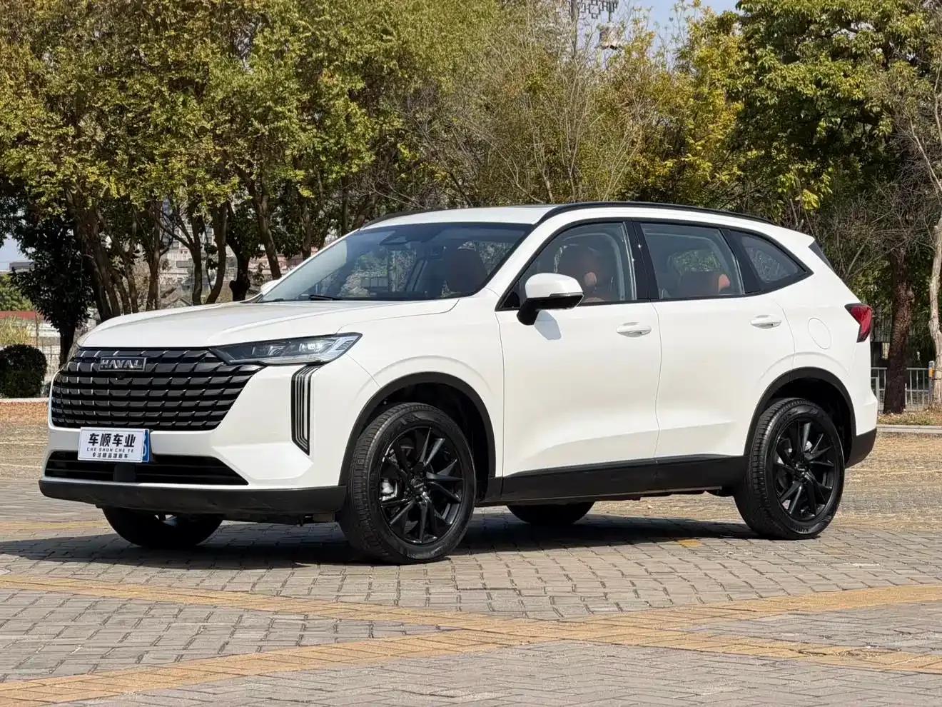 Haval H6 2024 2.0T AWD Max — миниатюра 1
