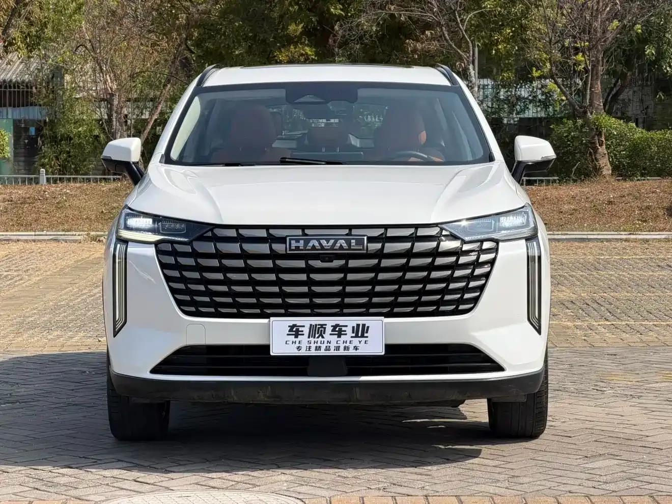 Haval H6 2024 2.0T AWD Max — миниатюра 2