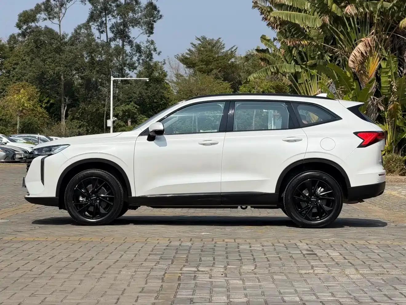 Haval H6 2024 2.0T AWD Max — миниатюра 5