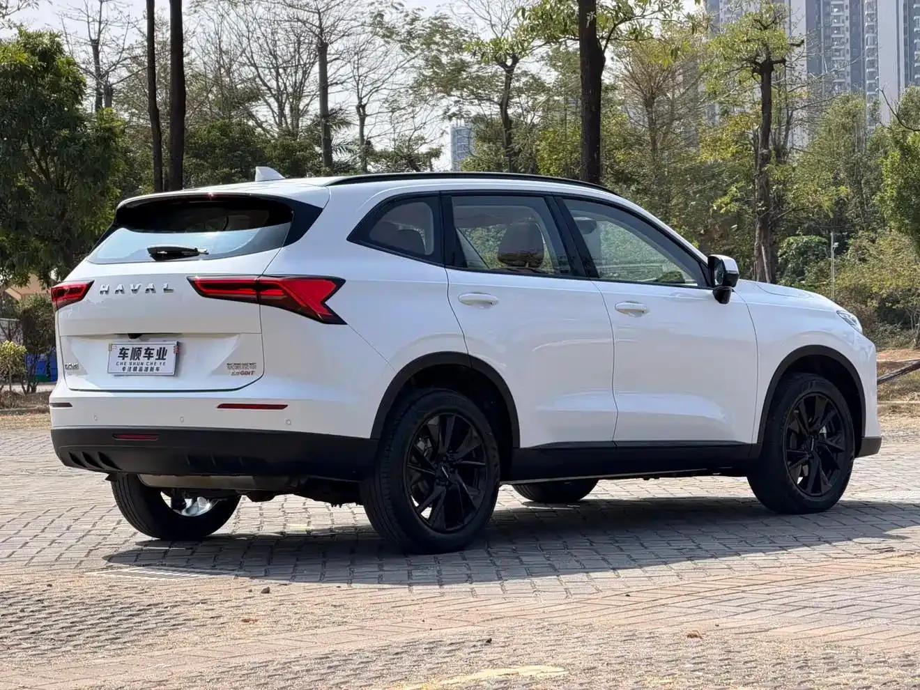 Haval H6 2024 2.0T AWD Max — миниатюра 6