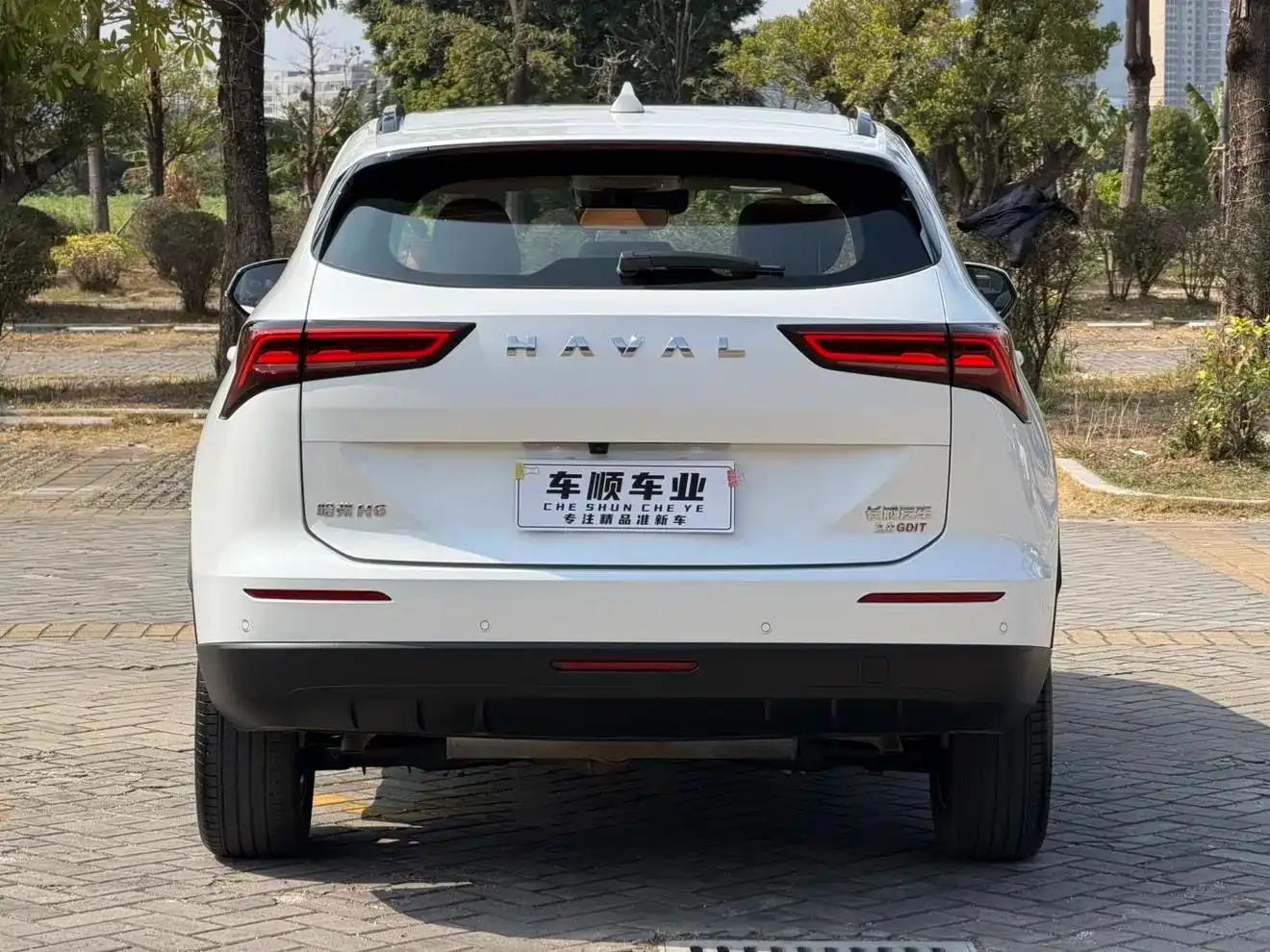 Haval H6 2024 2.0T AWD Max — миниатюра 7