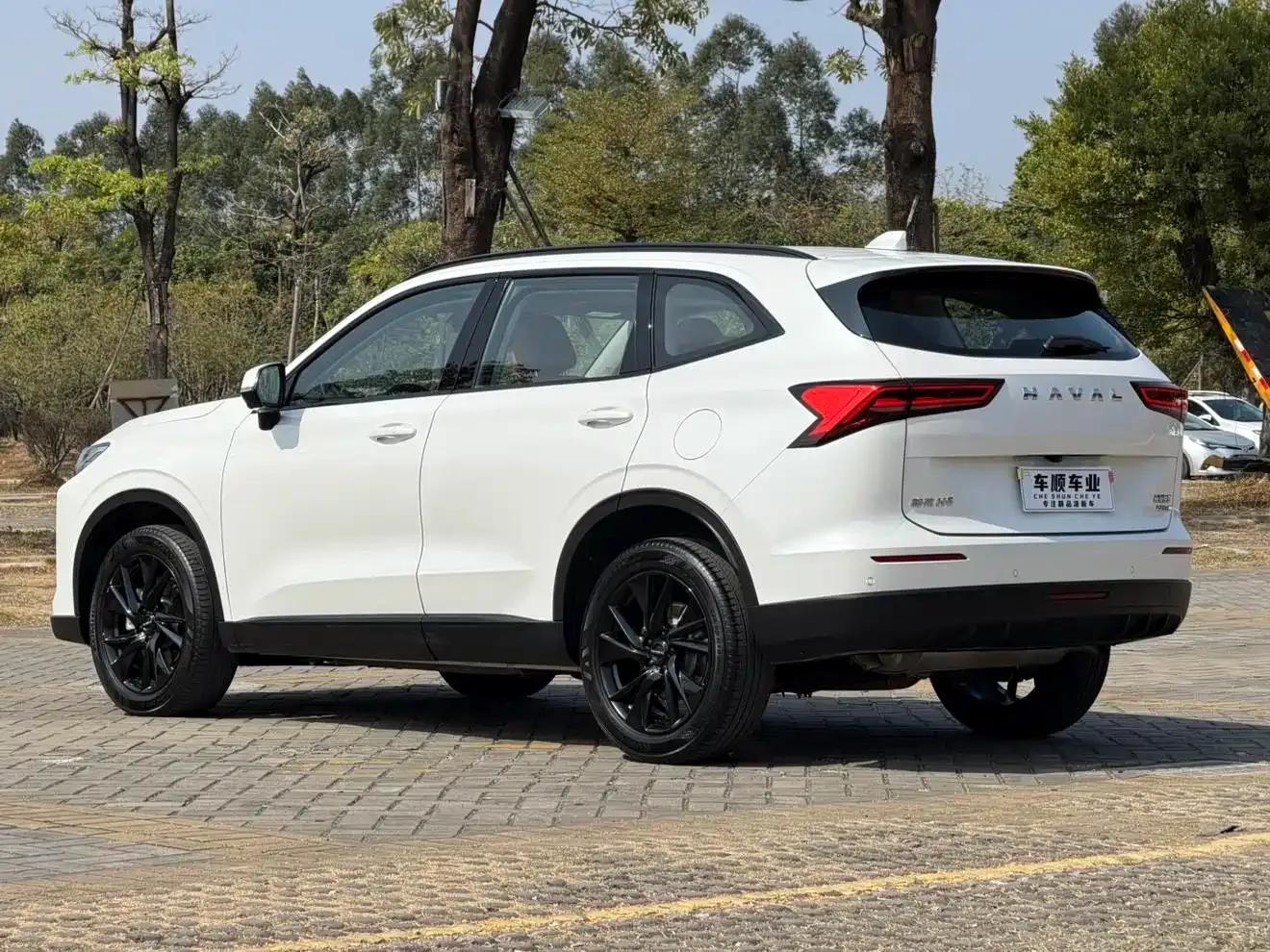 Haval H6 2024 2.0T AWD Max — миниатюра 8
