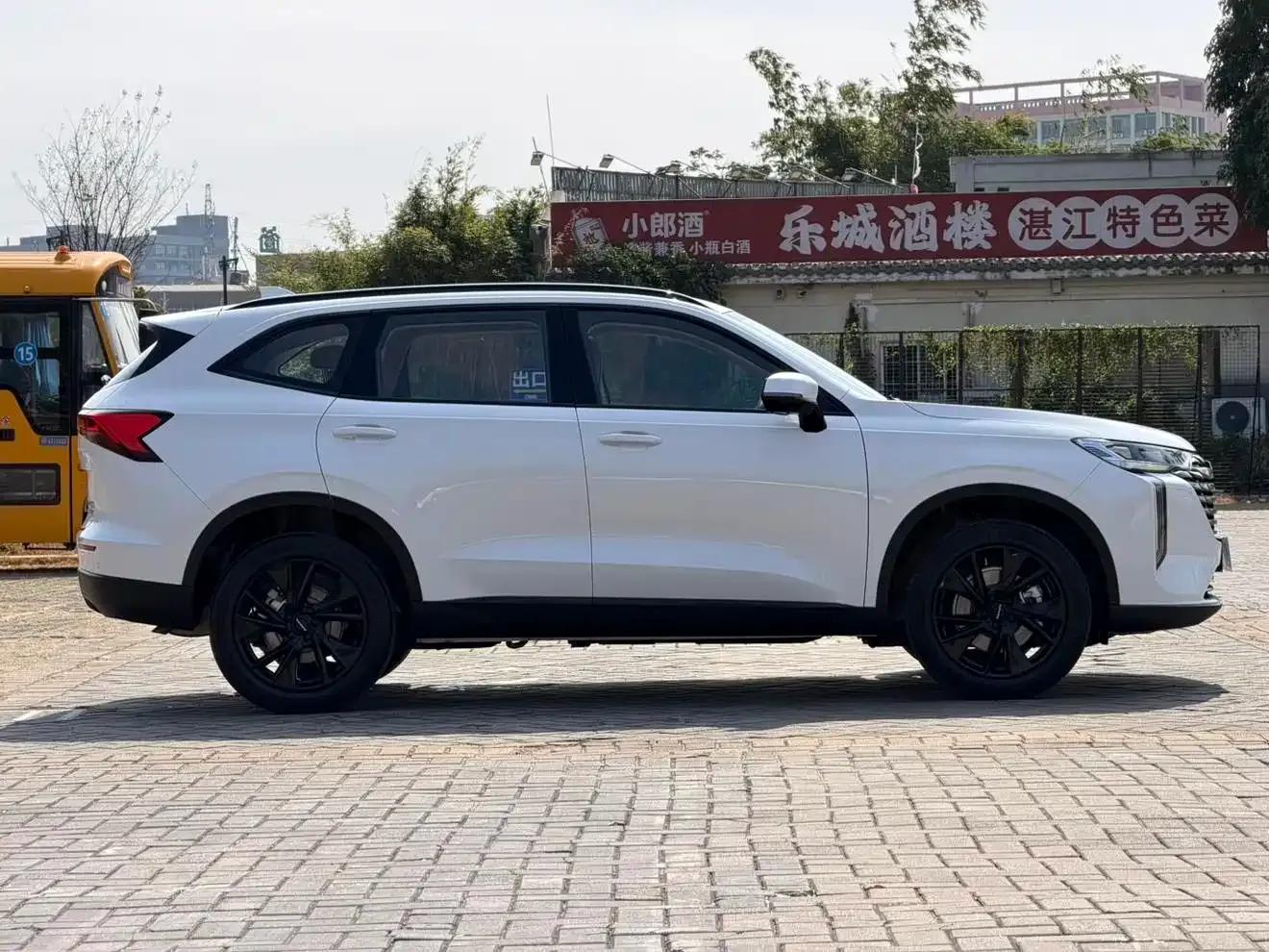Haval H6 2024 2.0T AWD Max — миниатюра 10