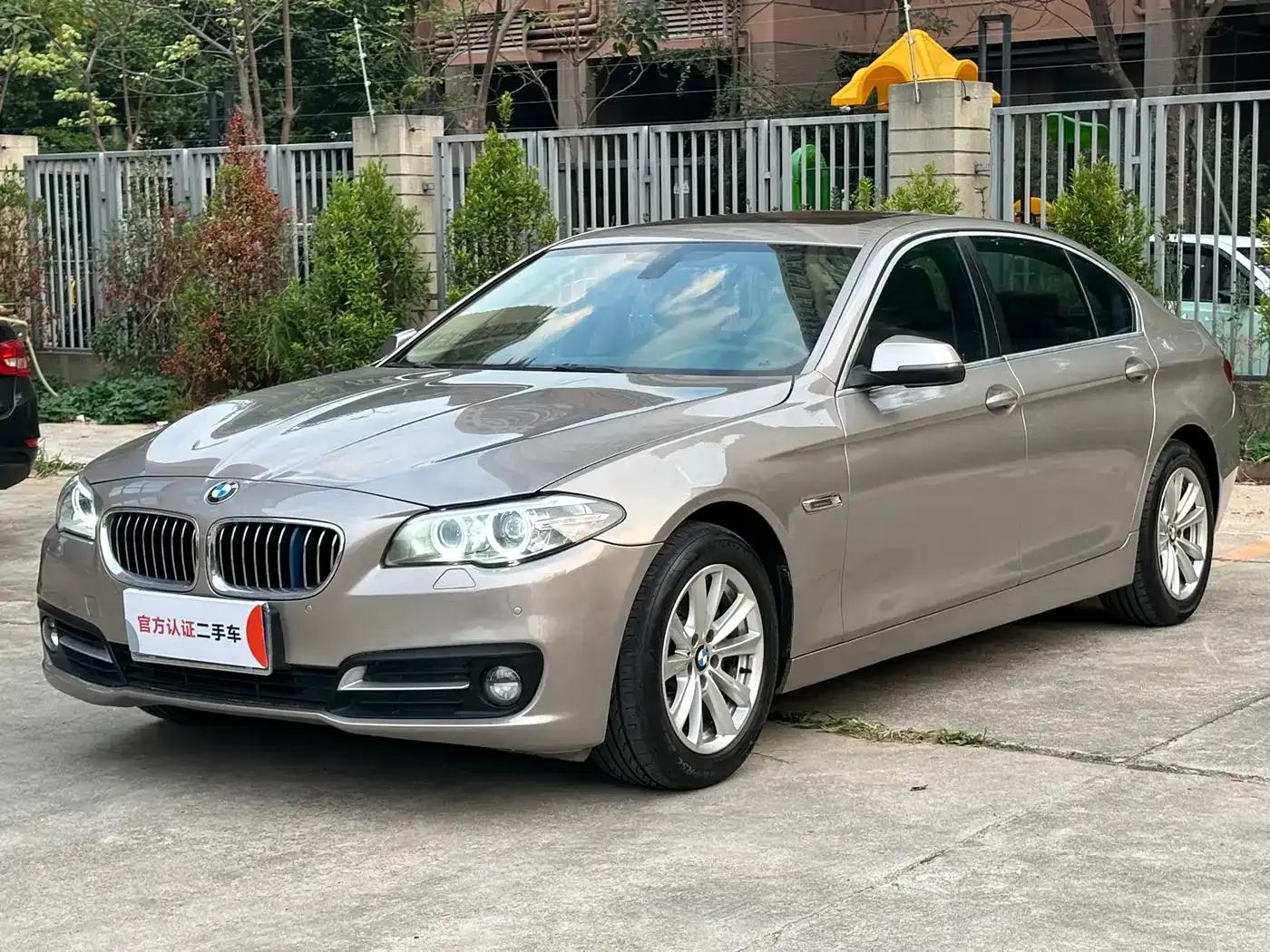 2014 BMW 5 Series 520Li Elegant Edition — миниатюра 1