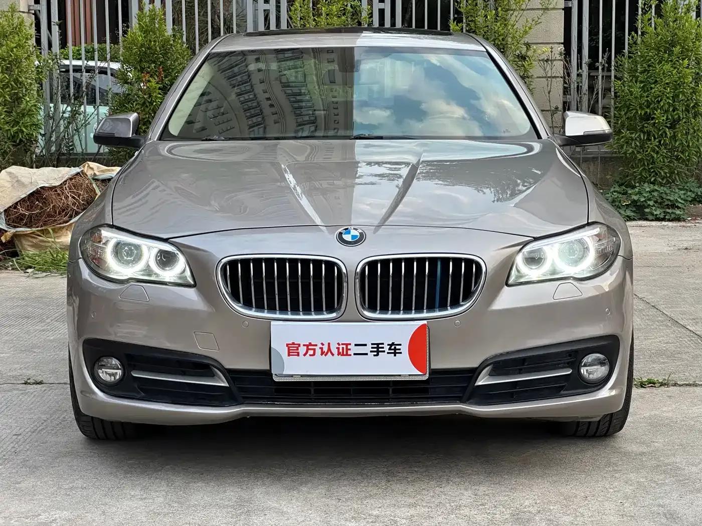 2014 BMW 5 Series 520Li Elegant Edition — миниатюра 2