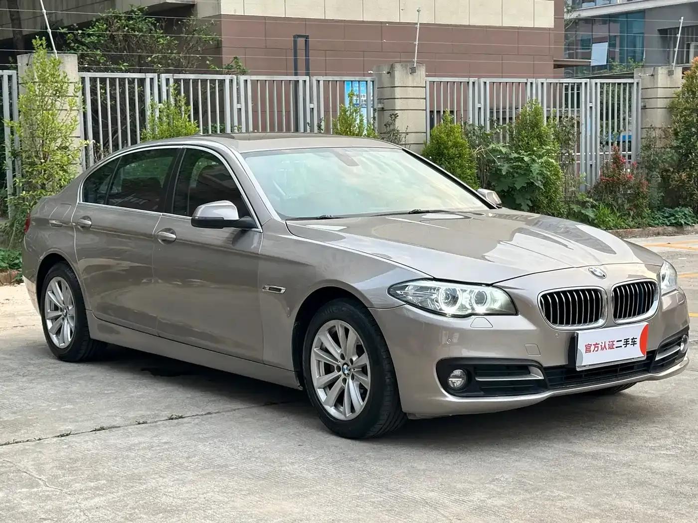 2014 BMW 5 Series 520Li Elegant Edition — миниатюра 3