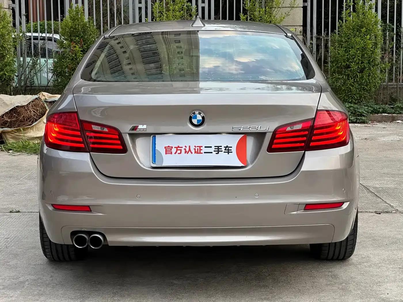 2014 BMW 5 Series 520Li Elegant Edition — миниатюра 8