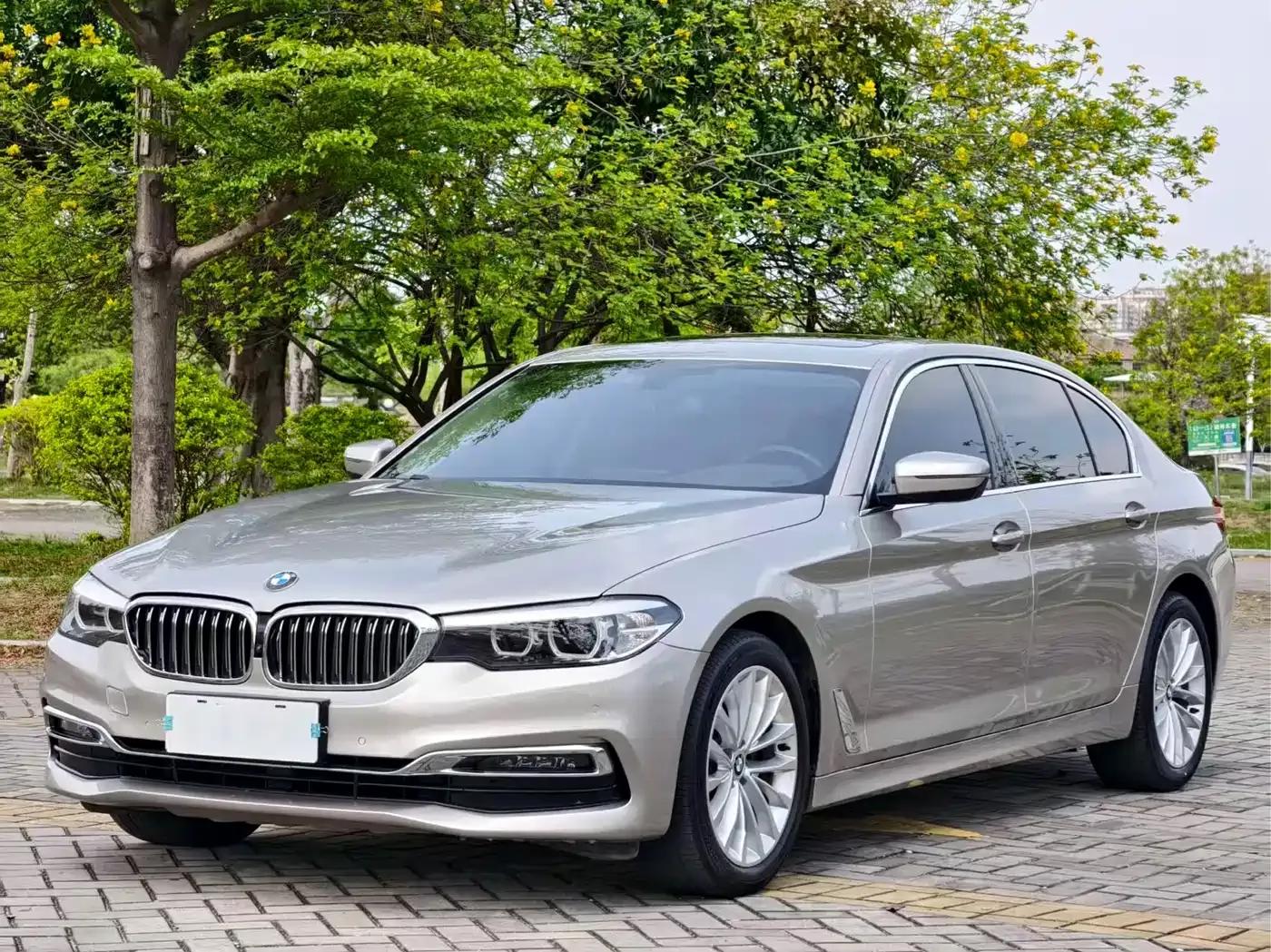 2019 BMW 5 Series 525Li Luxury Package — миниатюра 1
