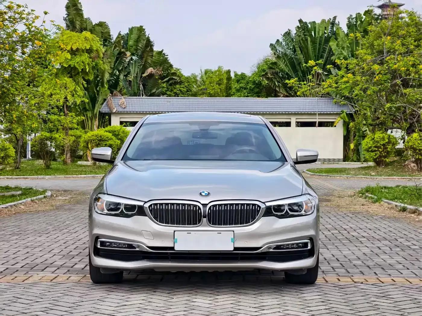 2019 BMW 5 Series 525Li Luxury Package — миниатюра 2