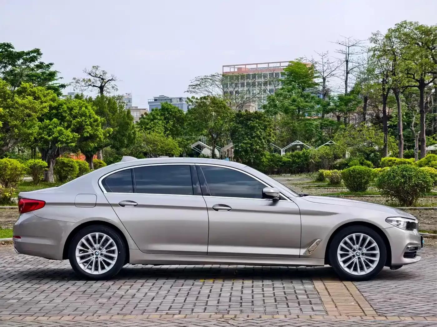 2019 BMW 5 Series 525Li Luxury Package — миниатюра 13