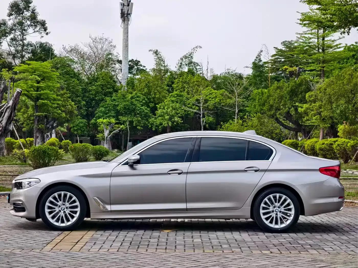 2019 BMW 5 Series 525Li Luxury Package — миниатюра 14