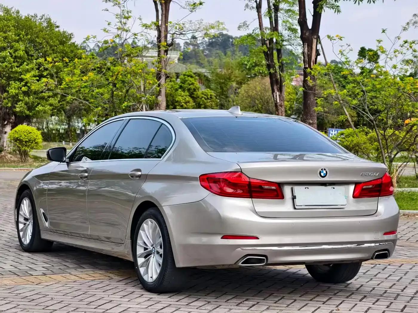 2019 BMW 5 Series 525Li Luxury Package — миниатюра 15