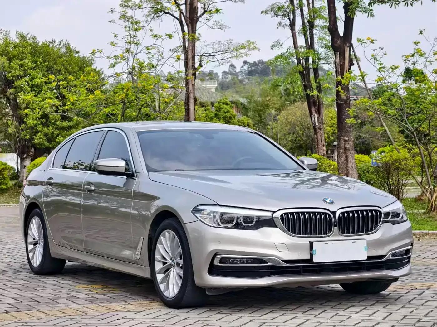 2019 BMW 5 Series 525Li Luxury Package — миниатюра 3
