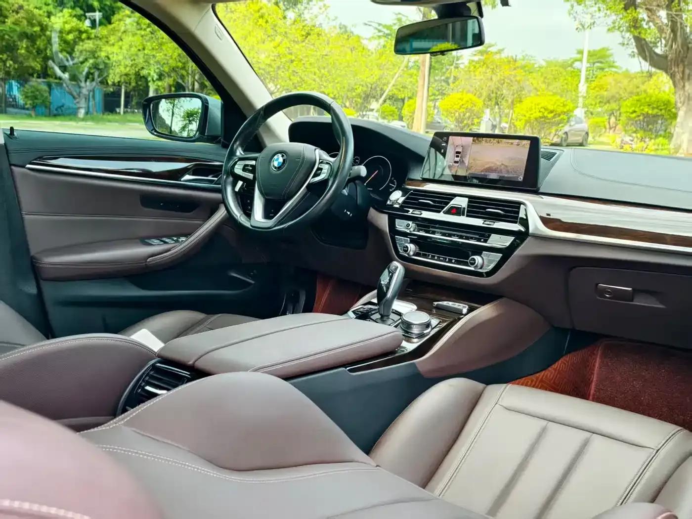 2019 BMW 5 Series 525Li Luxury Package — миниатюра 5