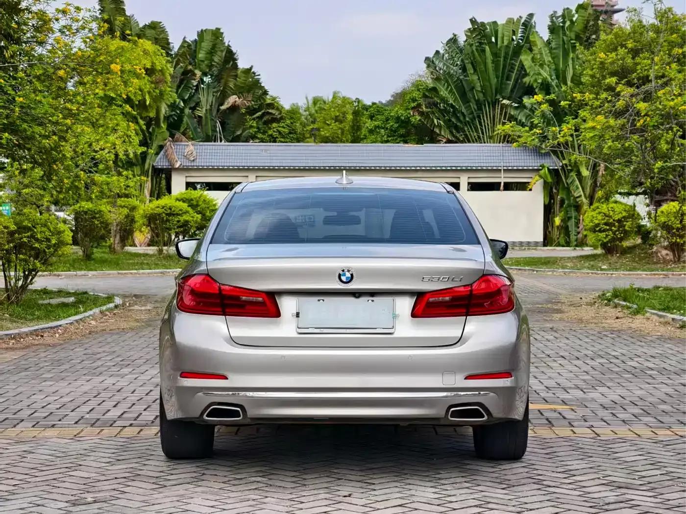 2019 BMW 5 Series 525Li Luxury Package — миниатюра 6