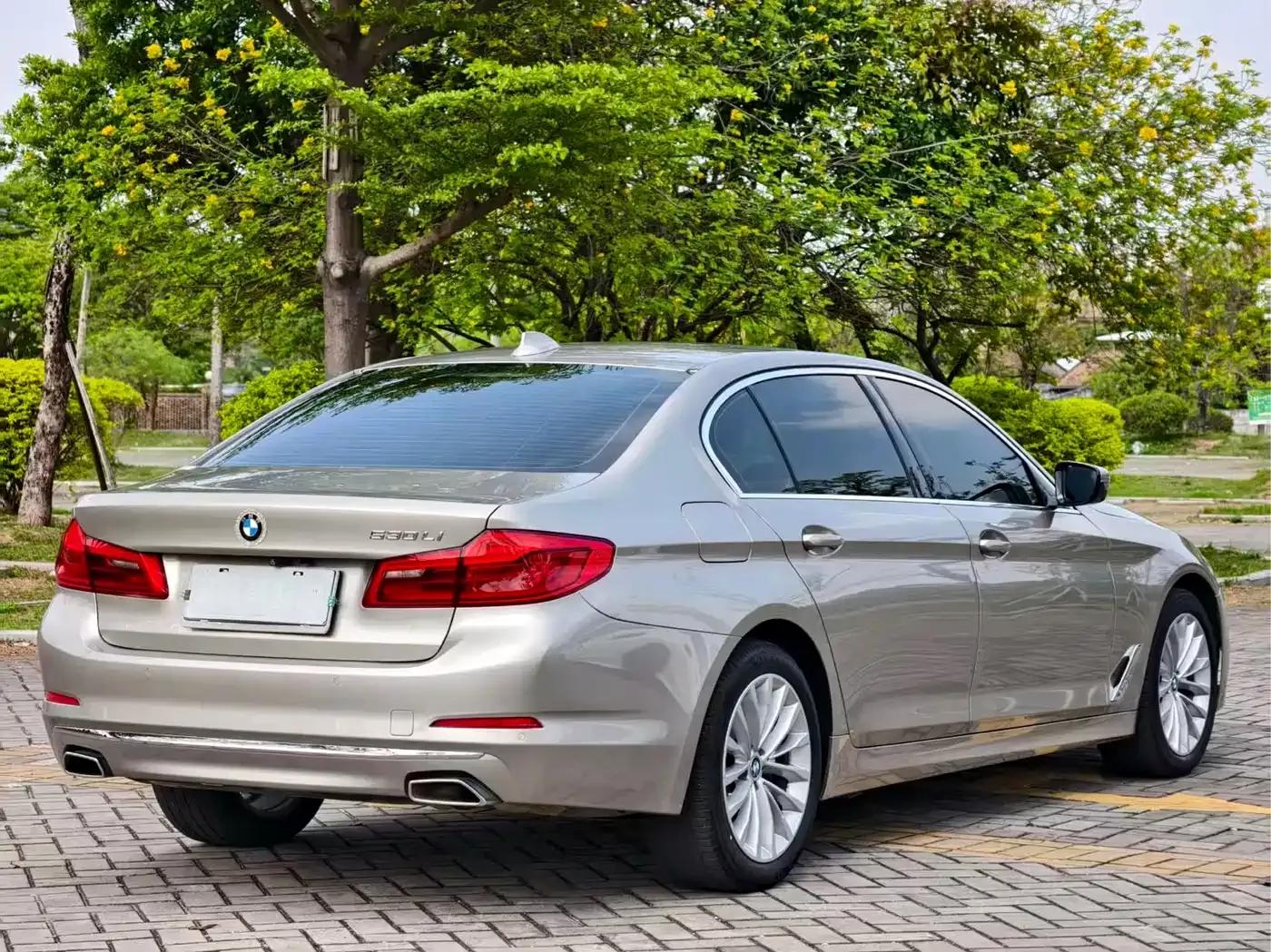 2019 BMW 5 Series 525Li Luxury Package — миниатюра 7