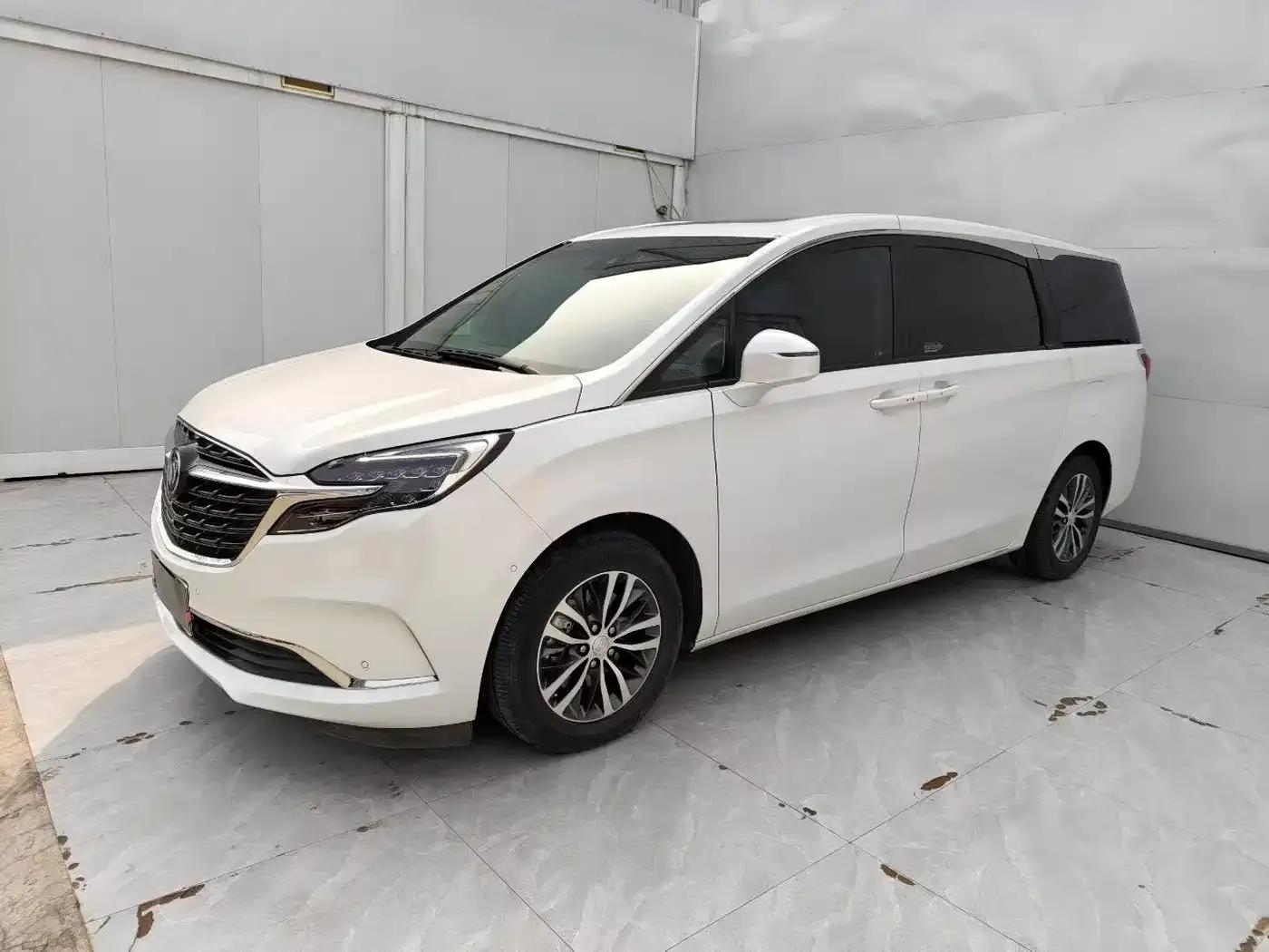 Buick GL8 2022 ES Avantgarde 653T Premium Edition — миниатюра 1