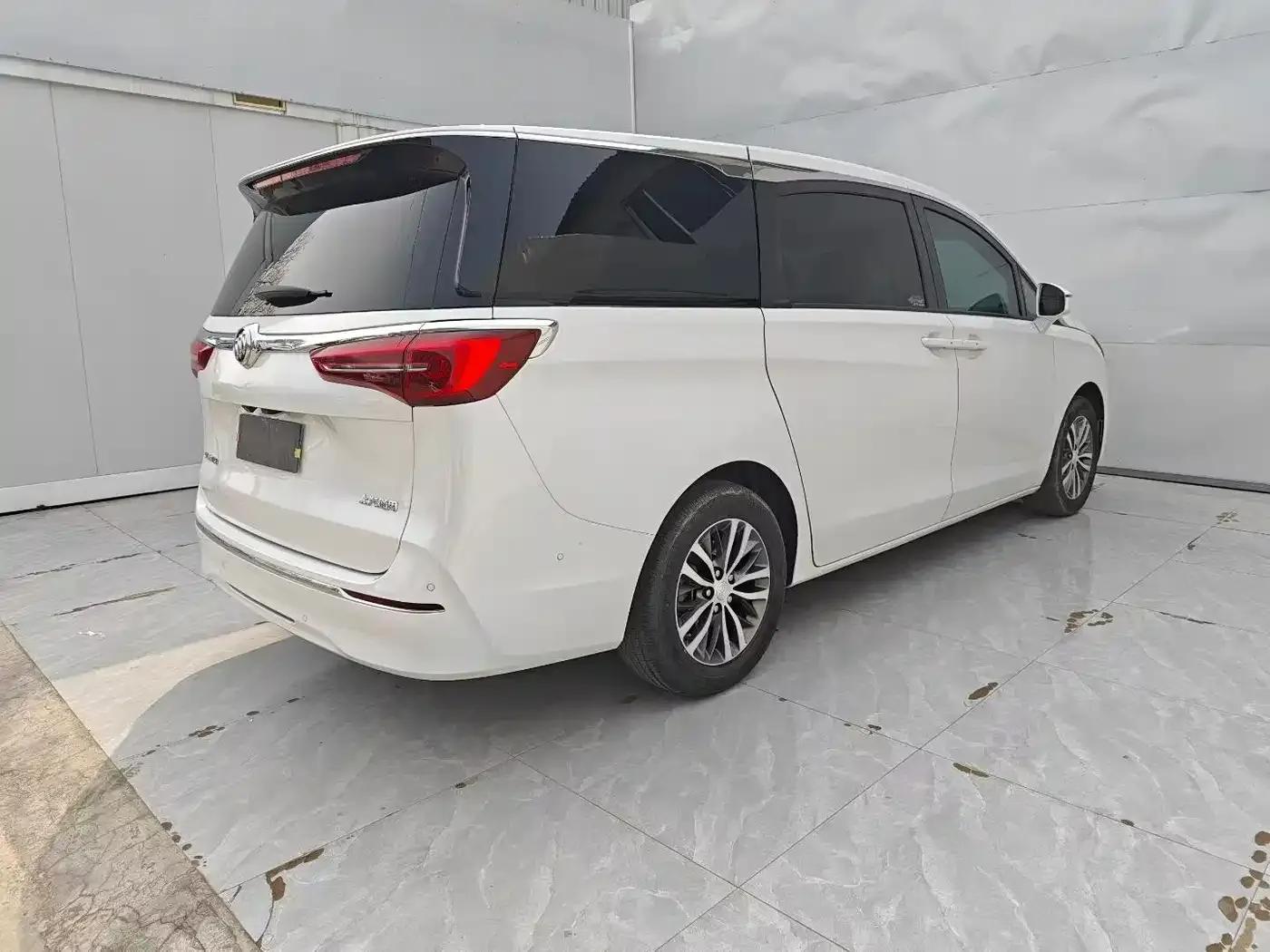 Buick GL8 2022 ES Avantgarde 653T Premium Edition — миниатюра 9
