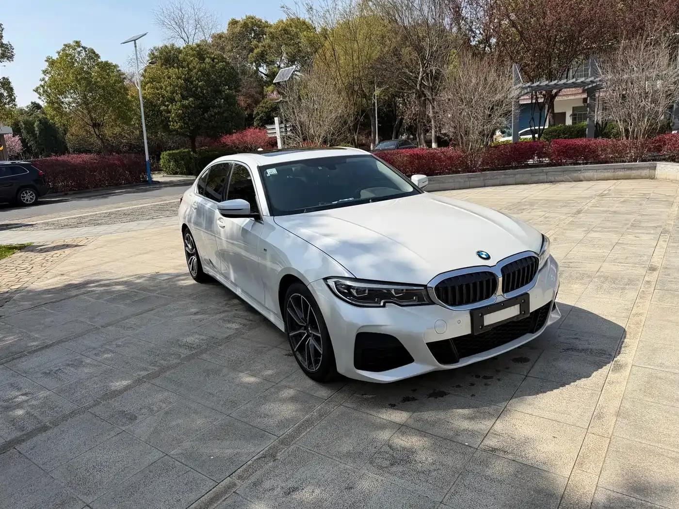 2021 BMW 3 Series 320Li M Sport Package — миниатюра 3