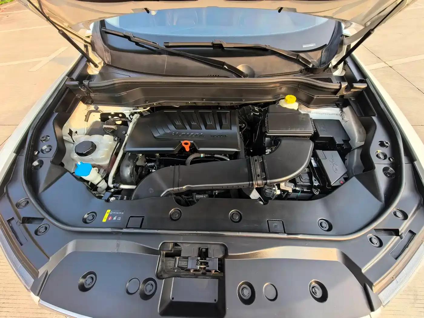 Haval H6 2020 1.5GDIT Automatic Platinum Champion Edition — миниатюра 15