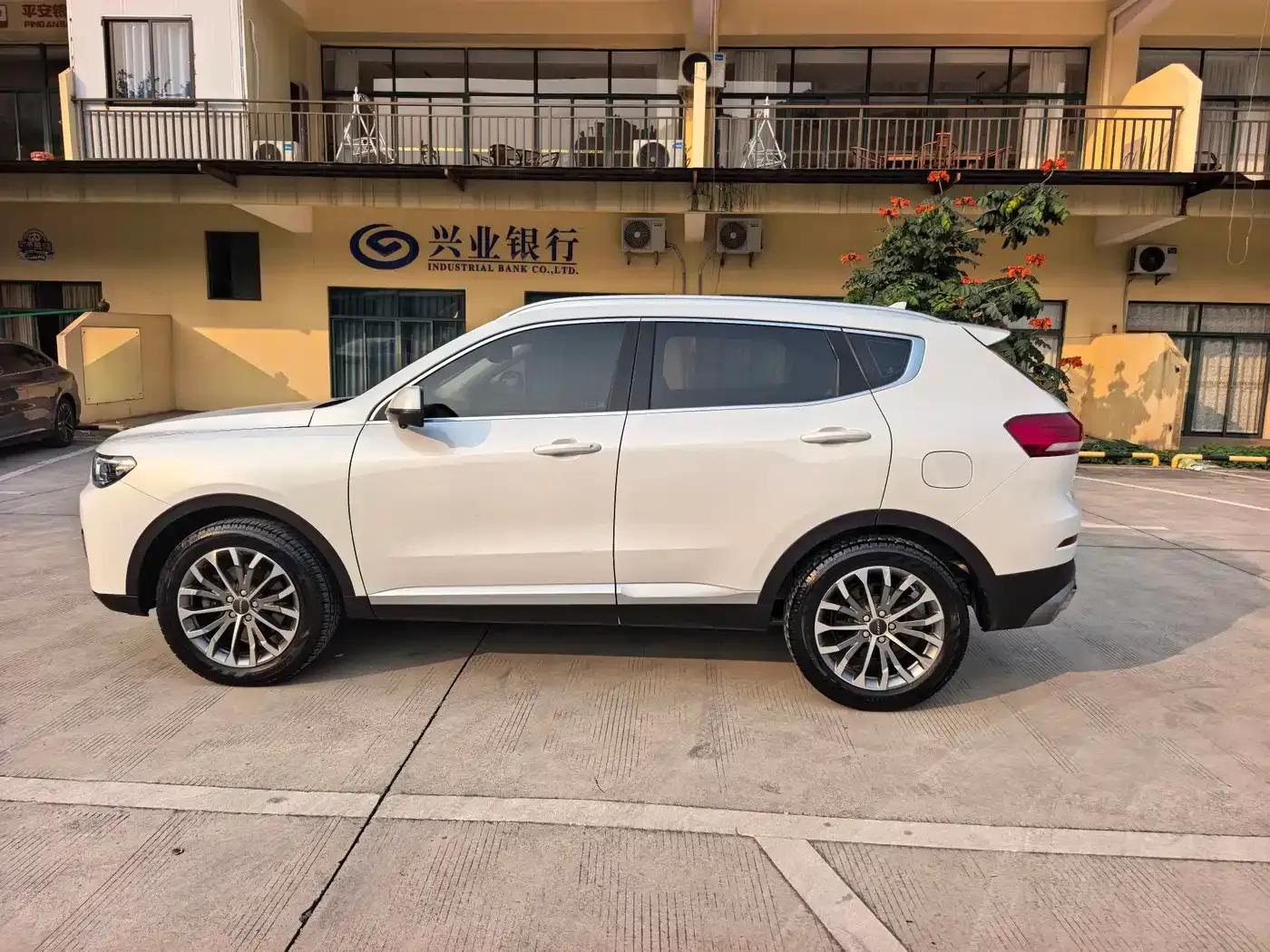 Haval H6 2020 1.5GDIT Automatic Platinum Champion Edition — миниатюра 4