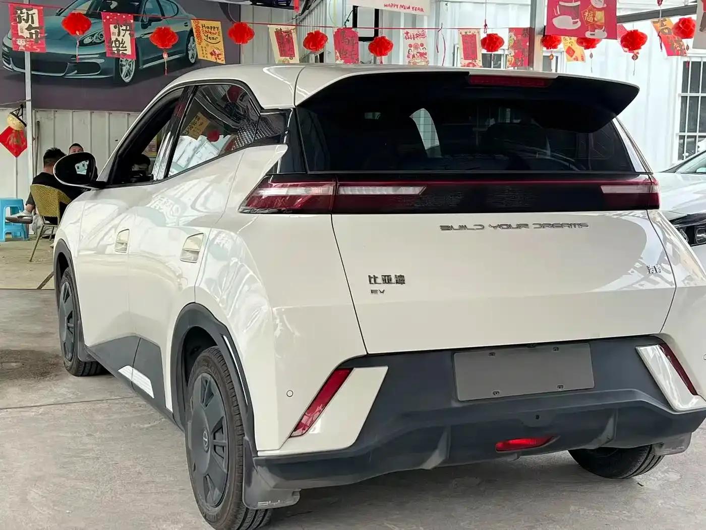 Seagull 2024 Glory Edition 305km/h Vitality Edition — миниатюра 4