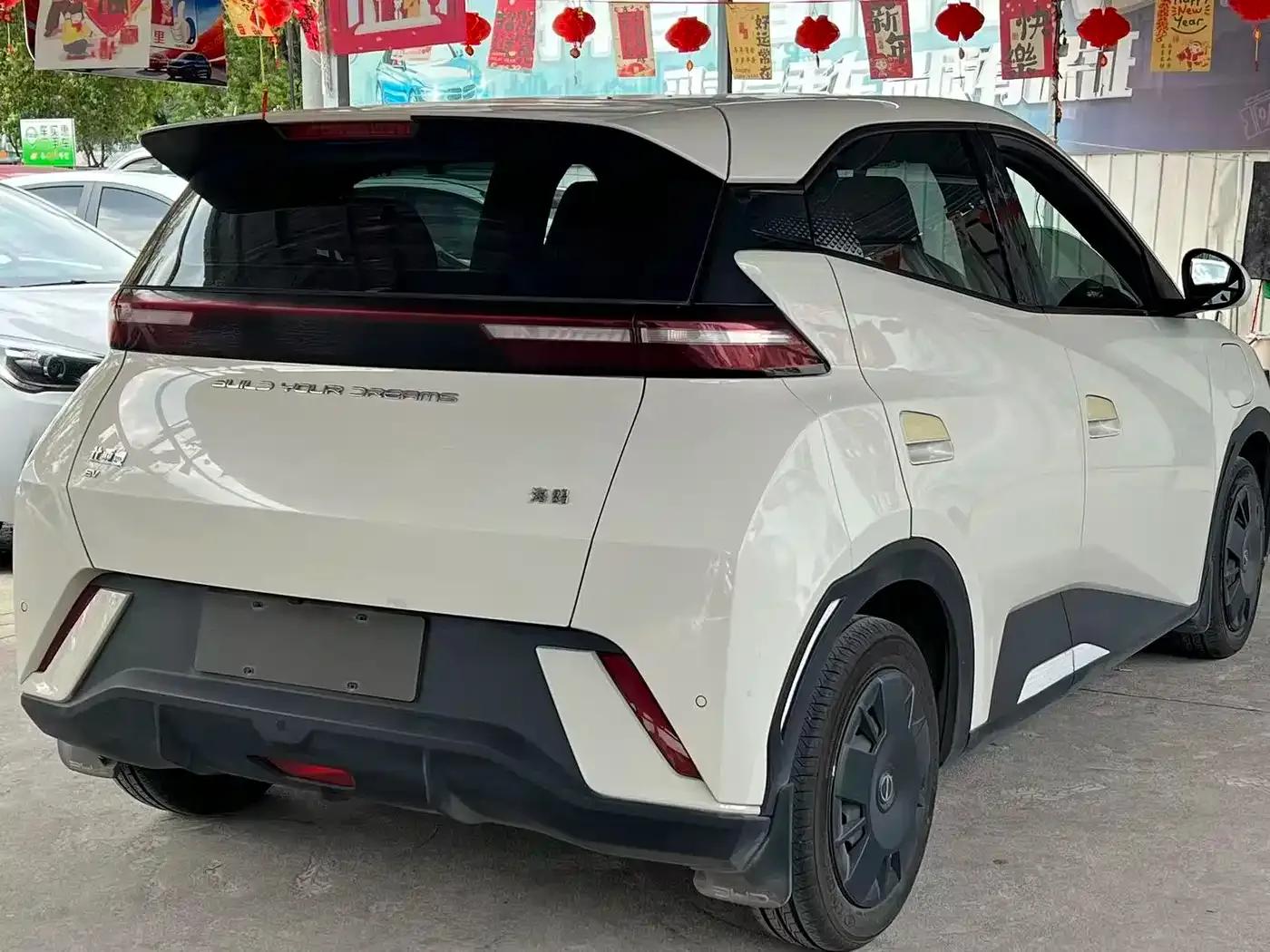 Seagull 2024 Glory Edition 305km/h Vitality Edition — миниатюра 6