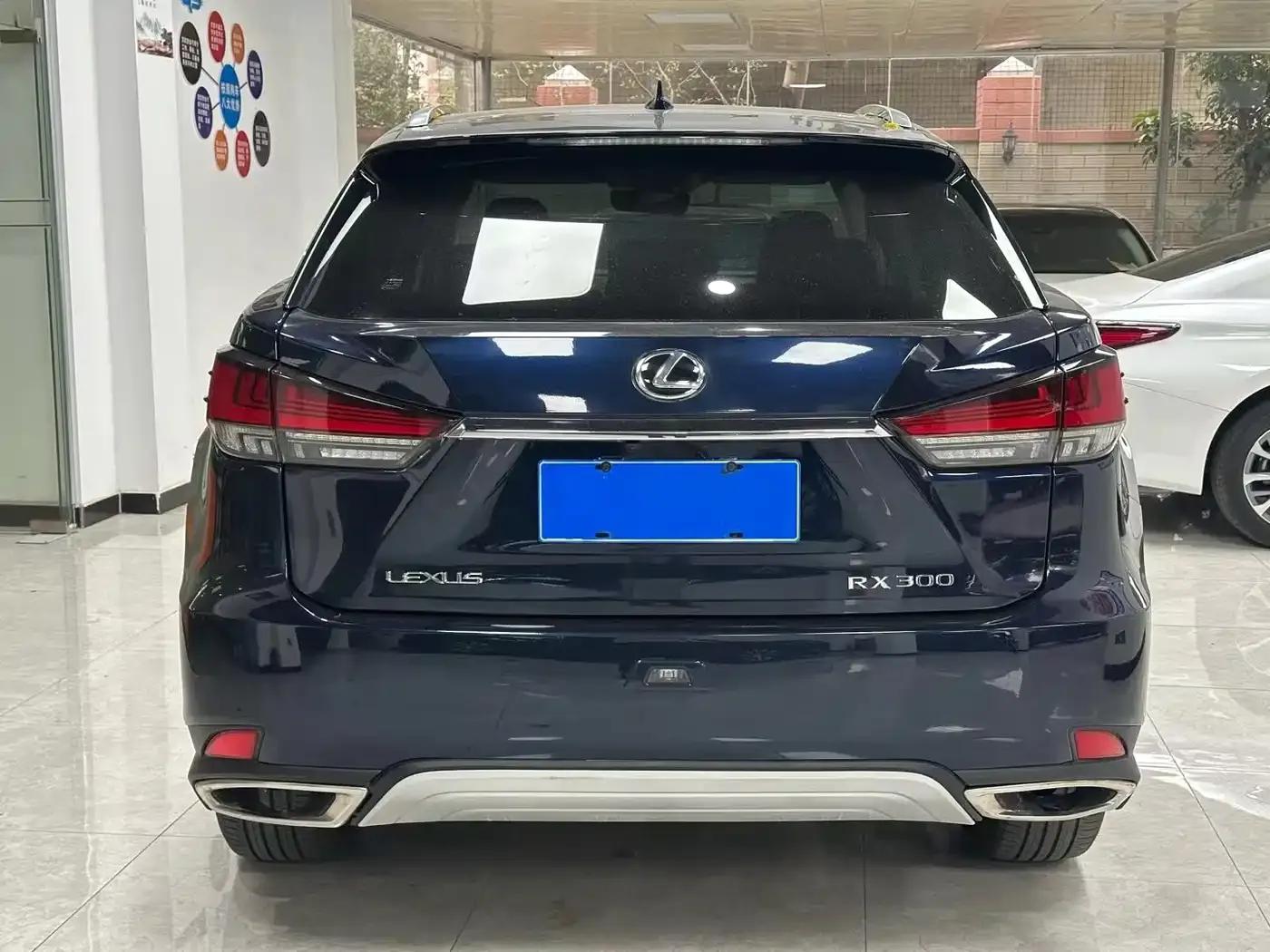 Lexus RX 2020 300 AWD Elegant Edition (China VI Emission Standard) — миниатюра 9