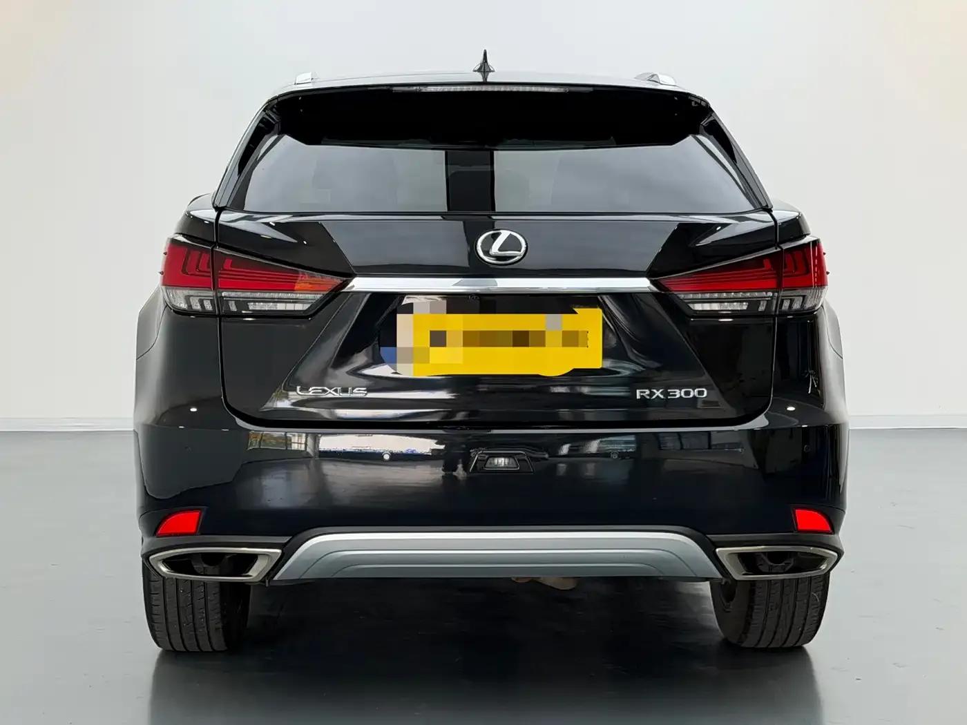 Lexus RX 2020 300 AWD Elegant Edition (China VI Emission Standard) — миниатюра 5