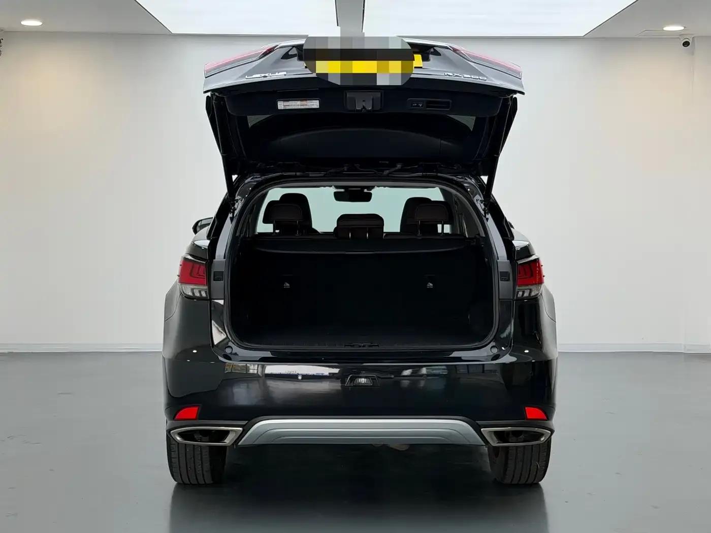 Lexus RX 2020 300 AWD Elegant Edition (China VI Emission Standard) — миниатюра 7