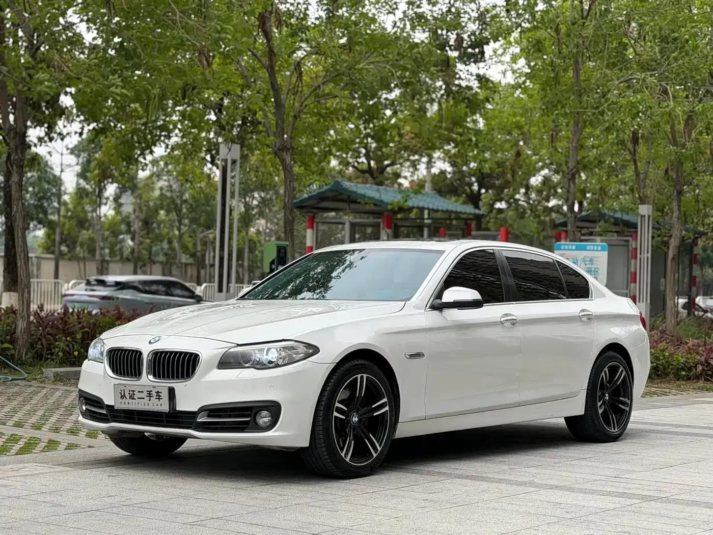 2014 BMW 5 Series 535Li Leading Edition — миниатюра 1