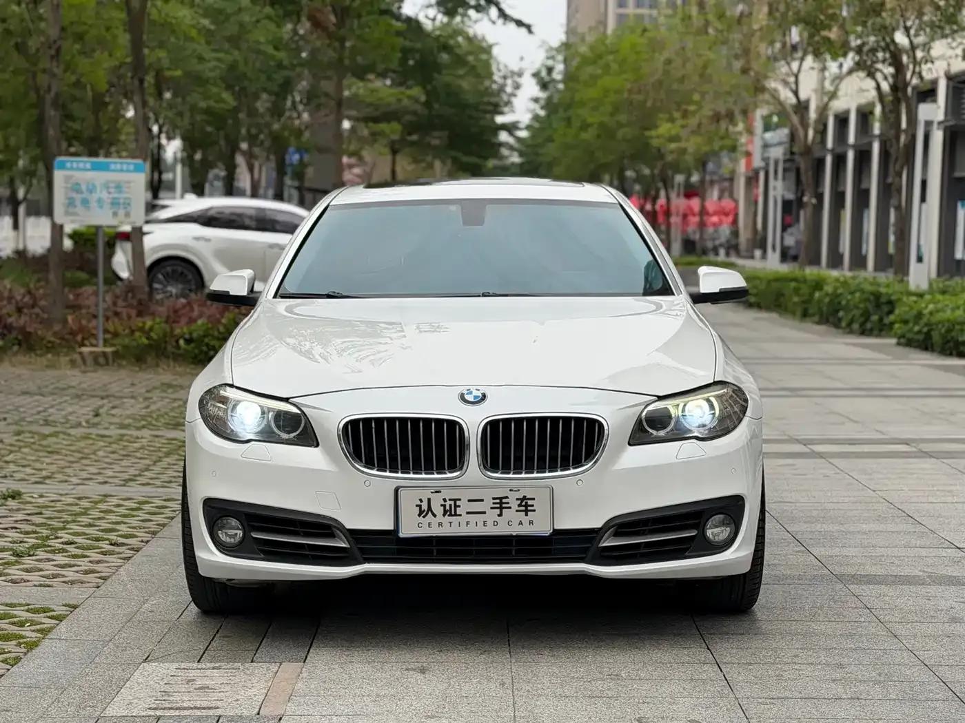 2014 BMW 5 Series 535Li Leading Edition — миниатюра 2