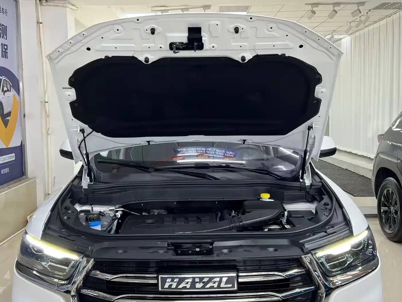Haval H6 2021 National Trend Edition 1.5T Automatic Urban Edition — миниатюра 23