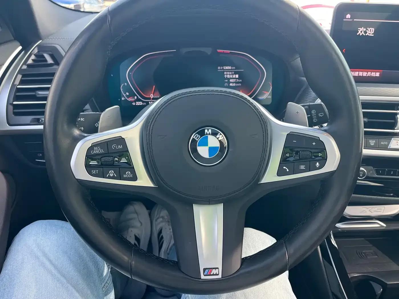 BMW X3 2022 xDrive30i Luxury M Sport Package — миниатюра 8
